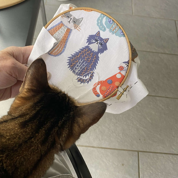 My cat looking at my cat embroidery in a hoop